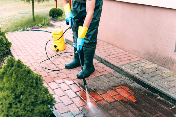 Trusted Western Springs, IL Pressure Washing Services Experts